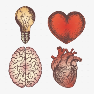Heart Brain Bulb Sketch Set - Vector Graphics #1618874