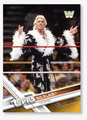 Ric Flair Png #1619358