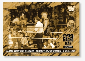 2018 Topps Wwe Heritage Teams With Mr - Amateur Boxing #1619668