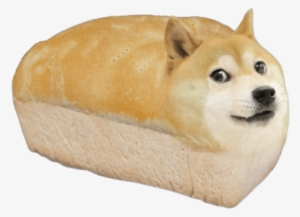 @the Flame And Hawks Eye - Bread Dog #1620109