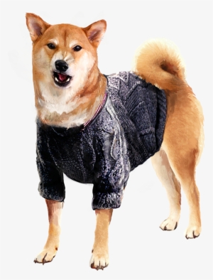 It's Not Every Day You See A Vn With Doggos - Hokkaido #1620110