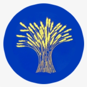 Shine Sports Mornings At Wheatfield Primary School - Circle #1620169