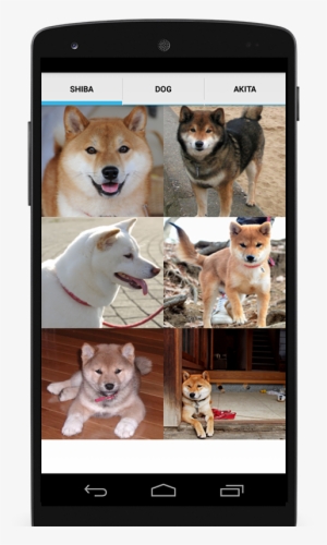 Puppy Shiba Inu Aluminum License Plate #1620346