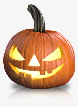 Halloween - Cat #1621889