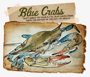 Taste Great On Your Plate - Blue Crabs #1623389