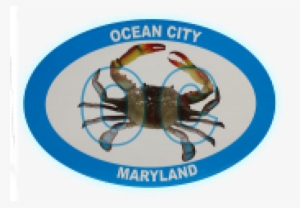Oc Blue Crab Decal - Manpower #1623745