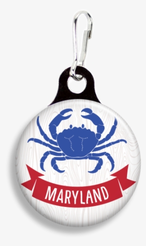 Maryland Blue Crab #1623932