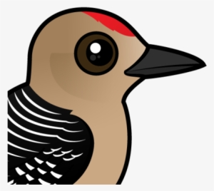 Woodpecker Clipart Two - Zazzle Birdorable Gila Woodpecker Ring, Adult Unisex, #1624203