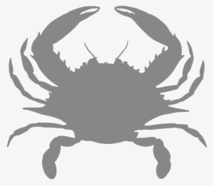 Blue Crab - Blue Crab Eyes #1624521