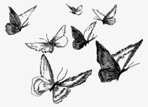 Clipart Black And White Ankle Drawing Pencil - Pencil Butterfly #1625278