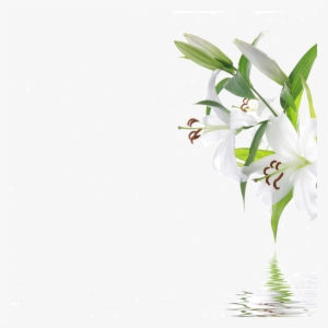 Quienes Somosd - Background Spa #1625287