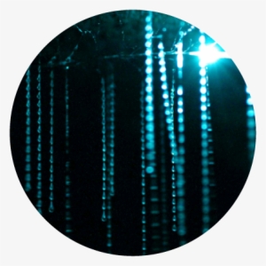 Glow Show - Cave Glow Worm #1625915