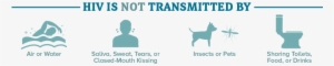 Hiv Is Not Transmitted By Air Or Water - Hiv Spread #1627216