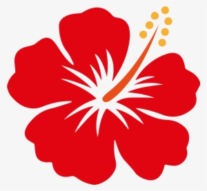 Hibiscus Vector #1629226