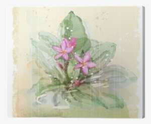 Frangipani Flower - Evsimo Dekoratif Yastık 40x40 Cm - (452-13079) #1629390