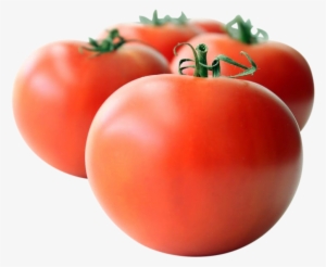 Fresh Tomatoes - Salad #1629766