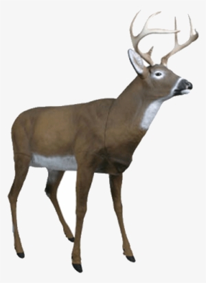 Flambeau Masters Series Boss Buck- Whitetail Deer Decoy - Flambeau Masters Series Boss Buck Decoy #1629877