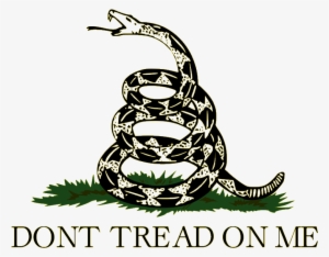 Taxation Is Theft Libertarian #1629919