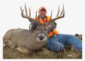 North Dakota South Dakota Deer Hunting - North Dakota Whitetail Bucks #1630069