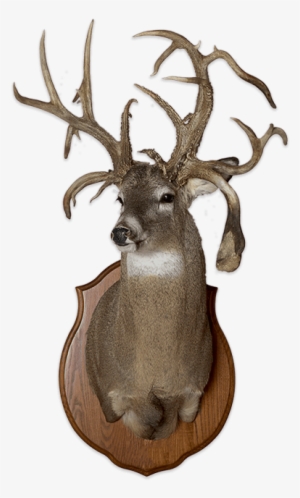 Take The Guessing Game Out - Somme #1630071