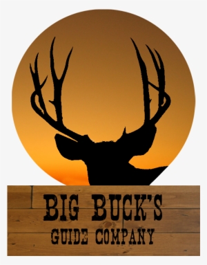 Logo - Beware The Colorguard Ornament (round) #1630206