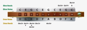 Another Note For The More Advanced Harmonica Players - Harmonica 5b #1630355