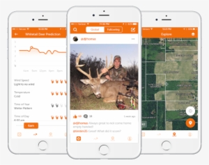 Huntwise Three Up - Brown Bear #1630378