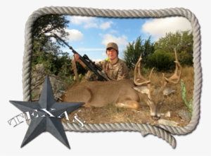 Texas Trophy Whitetails - Texas #1630601