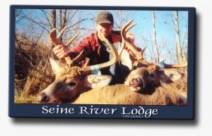 The Northwestern Ontario Whitetails Are A Different - Trophy Hunting #1630807