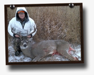 Whitetail Deer Hunting Photos - Deer Hunting #1630830