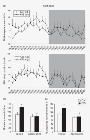 Rapid Eye Movement Sleep Profile Over 24 H - Diagram #1630831