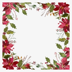 Фото, Автор ✿lili@ ✿ На Яндекс - Poinsettia #1631149