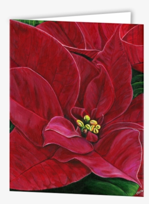 Uniquely Made Greeting Cards In An 8 Pack Set Printed - Poinsettia #1631283