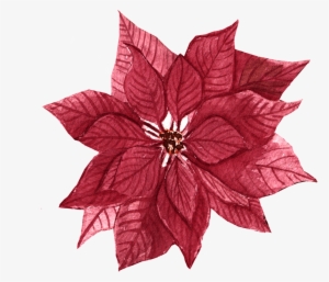 Red Maple Leaf Flower Free Illustration - Leaf #1631334