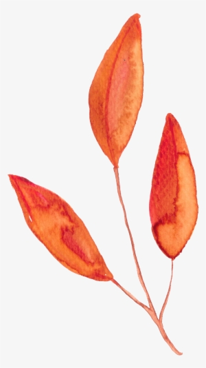 Hand Painted Orange Three Slices Of Leaf Watercolor - Watercolor Painting #1631403