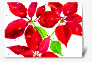 Christmas Poinsettia Greeting Card - Gilliflower #1631539
