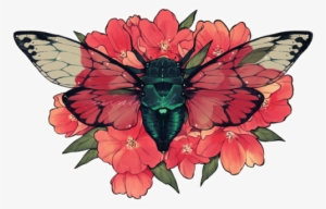 Butterfly #1631589