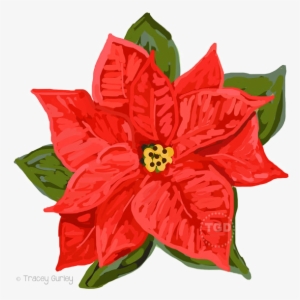 Poinsettia Png Download Image - Poinsettia Clipart Transparent Background #1632308