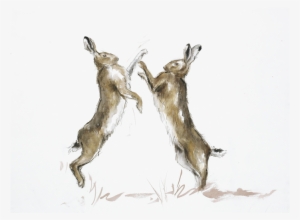 Clip Art Library Stock Annabel Popecountryside Alliance - Boxing #1632398