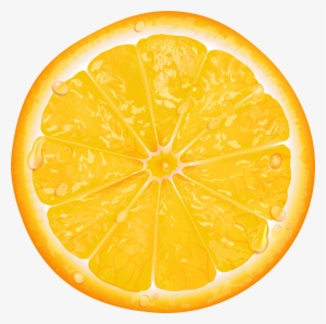 Orange Slice Png #1632448