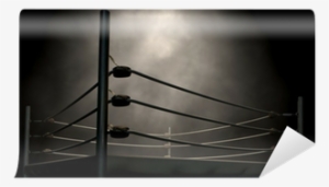Classic Vintage Boxing Ring #1632477