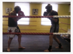 Professional Boxing #1633385