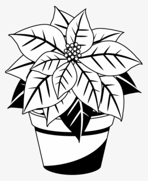Svg Library Stock Collection Of Christmas - Black And White Poinsettia Clipart #1633431
