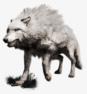 Far Cry Collection Trophies - Far Cry Primal All Beast #1634921