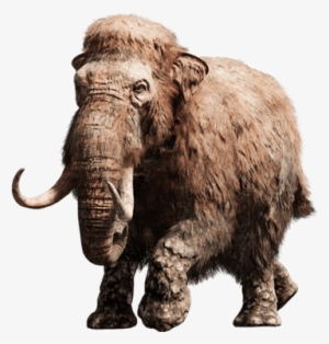 長毛象 - Far Cry Primal Mammut #1635016