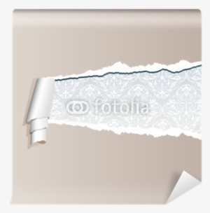 Lace #1635213