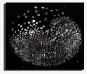 Portable Network Graphics #1636796