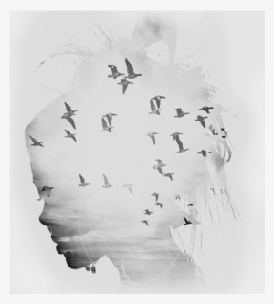 Web Design Penrith - Eberhard Rink: Befreit Durch Deine Gnade Cd #1637355