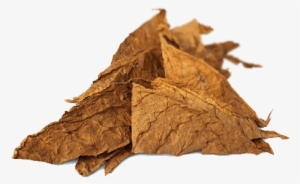 Tobacco Png - Tabaco Virginia En Png #1639345