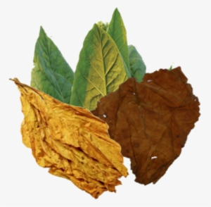 Tobacco Blend Png #1639370